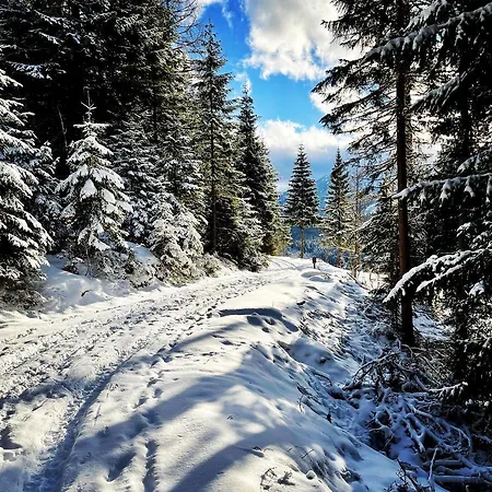 Chalet Chalet Triple Hohentauern